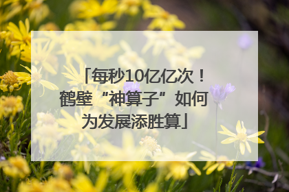 每秒10亿亿次！鹤壁“神算子”如何为发展添胜算